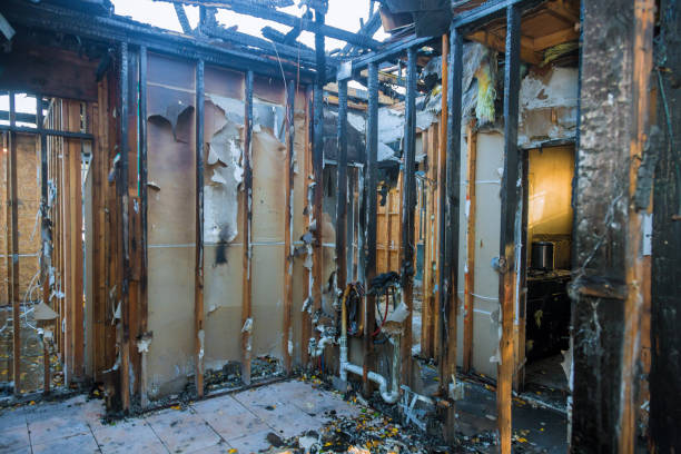 Professional Odor Removal technician working in Steilacoom, WA